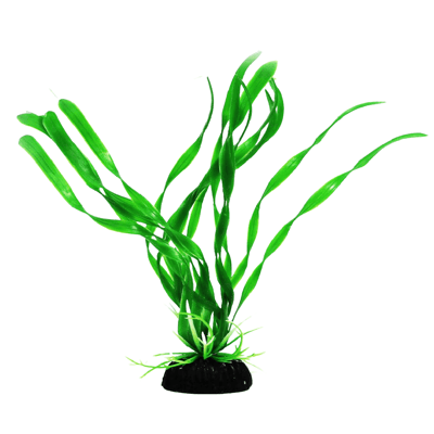 Planta Decorativa Maxxi Ap-026 Para Aquário - Único