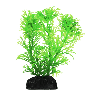 Planta Decorativa Maxxi Ap-050C Para Aquário - 1 Unidade