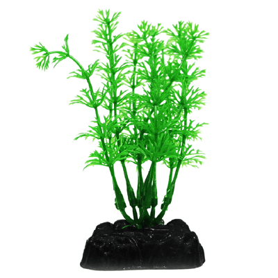Planta Decorativa Maxxi Ap-089B Para Aquários - Única
