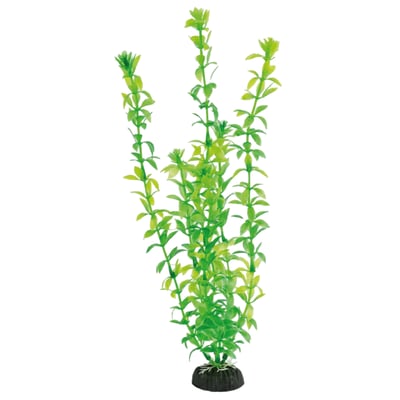 Planta Decorativa Soma Economy Verde 30Cm Para Aquários Modelo 432