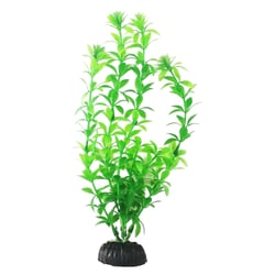 Planta Sintética Para Aquários Hygrophila Soma 20Cm - 1 Unidade