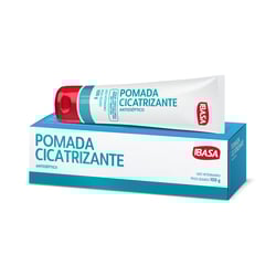 Pomada Cicatrizante Ibasa 100G - 1 Unidade - 100 Gramas
