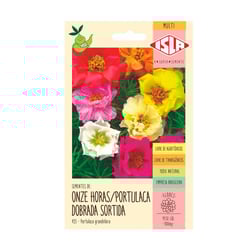 Portulaca Dobrada Sortida Isla - 1 Unidade