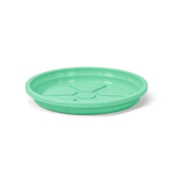 Prato Aquarela Nutriplan Verde Claro