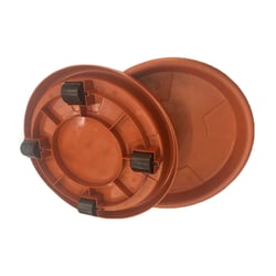 Prato Com Rodas Skate Tabaco Fg Import 27Cm - 60 Kilos