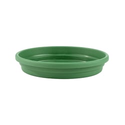 Prato Desli Verde Nº 05 - 1 Unidade - Tamanho 20