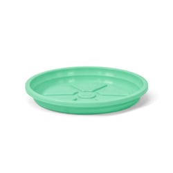 Prato Nutriplan Aquarela Verde Claro