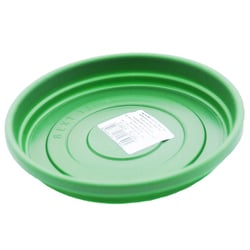 Prato Para Vasos Desli Tamanho 13 Verde