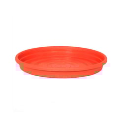 Prato Para Vasos Desli Terra Cota Tamanho 36