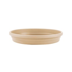 Prato Vaso Desli Areia Nº 04 - 1 Unidade - Tamanho 17