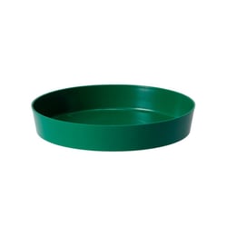 Prato Veneza Verde West Garden Tamanho 2 Para Jardim