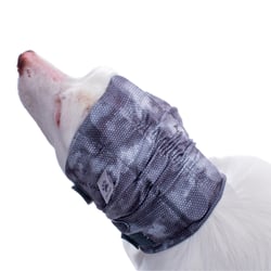 Protector Oto Calm Roupa Med Para Cães - 1 Unidade - Tamanho 1