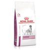 Ração Cardíaca Royal Canin Veterinary Para Cães Adultos Com Insuficiência Cardíaca - 2Kg - 2 Kilos