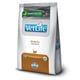 Ração Diabetic Vet Life Para Gatos - 2Kg - 2 Kilos - 2 Kilos