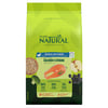 Ração Guabi Natural Salmão Para Cães Adultos Mini E Pequeno 10,1Kg - 1 Unidade - 10,1 Kilos