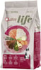 Ração Quatree Life Salmão E Arroz Para Gatos Adultos - 3Kg - 3 Kilos