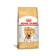 Ração Royal Canin Bulldog Francês Adulto - 7,5Kg - 7,5 Kilos - 7,5 Kilos