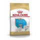 Ração Royal Canin Bulldog Frances Puppy - 2,5Kg - 2,5 Kilos - 2,5 Kilos