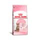 Ração Royal Canin Kitten Sterilised Para Gatos Filhotes Castrados De 6 A 12 Meses - 400G - 400 Gramas - 400 Gramas