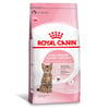 Ração Royal Canin Kitten Sterilises - 4Kg - 4 Kilos