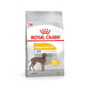 Ração Royal Canin Maxi Dermacomfort Para Cães Adultos E Idosos De Porte Grande - 10,1Kg