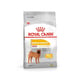Ração Royal Canin Medium Dermacomfort Para Cães Adultos E Idosos - 10,1Kg - 2,5 Kilos - 2,5 Kilos