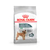 Racao Royal Canin Mini Cuidado Dental Para Caes Adultos De Porte Pequeno 2,5Kg