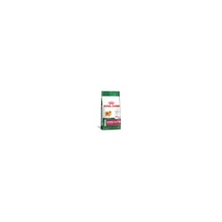 Ração Royal Canin Mini Indoor Senior Para Cães Idosos - 2,5Kg