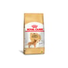 Ração Royal Canin Para Golden Retriever Adulto - 1 Unidade