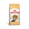 Ração Royal Canin Persian Adulto - 7,5Kg - 7,5 Kilos