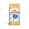 Ração Royal Canin Puppy Para Filhotes De Bulldog Francês - 1 Unidade - 1 Kilo