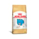 Ração Royal Canin Puppy Para Filhotes De Bulldog Francês - 1 Unidade - 1 Kilo - 1 Kilo