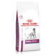 Ração Royal Canin Renal Special Para Cães Adultos Com Insuficiência Renal Crônica - 2Kg - 2 Kilos - 2 Kilos