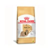 Ração Royal Canin Shih Tzu Adulto - 2,5Kg