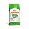 Ração Royal Canin X-Small Para Cães Adultos De Porte Mini - 1Kg - 1 Kilo