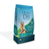 Ração Seca Qualiday 10.1Kg Para Cães Adultos De Raças Pequenas - 10,1 Kilos