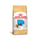 Ração Seca Royal Canin Puppy Para Shih Tzu Filhotes - 2,5Kg - 2,5 Kilos - 2,5 Kilos