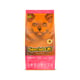 Ração Special Cat Para Gatos Filhotes - 10,1Kg - 10,1 Kilos - 10,1 Kilos