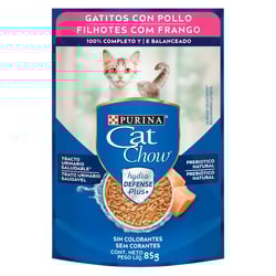 Ração Úmida Cat Chow Filhotes Frango Ao Molho - 85G