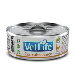 Ração Úmida Convalescença Vet Life Para Gatos - 85G
