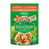Ração Úmida Dog Chow Adultos Raças Pequenas Salmão 100G - 1 Sachê