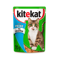 Ração Úmida Kitekat Peixe Ao Molho - 70G