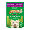 Ração Úmida Purina Dog Chow Filhotes Raças Pequenas Frango - 100G
