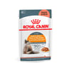 Ração Úmida Royal Canin Hair E Skin Para Gatos Adultos 85G - 1 Sachê