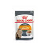 Ração Úmida Royal Canin Intense Beauty Para Gatos - 1 Sachê 85G
