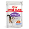 Ração Úmida Royal Canin Jelly Para Gatos Adultos Castrados - 85G