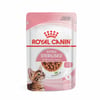 Ração Úmida Royal Canin Kitten Sterilised Para Gatos Filhotes Castrados Até 12 Meses - 85G