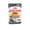 Ração Úmida Royal Canin Pele & Pelagem Para Gatos Adultos - 1 Sachê 85G