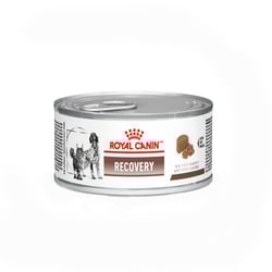 Ração Úmida Royal Canin Recovery Para Cães E Gatos - 195G