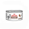 Ração Úmida Royal Canin Recovery Para Cães E Gatos - 195G